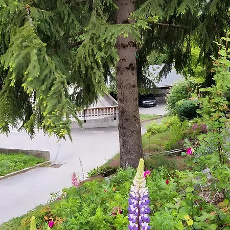 Mon Petit Coin De Paradis Saint-Gervais-les-Bains